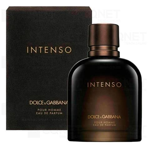 intenso dolce gabbana erfahrung|dolce gabbana intense for men.